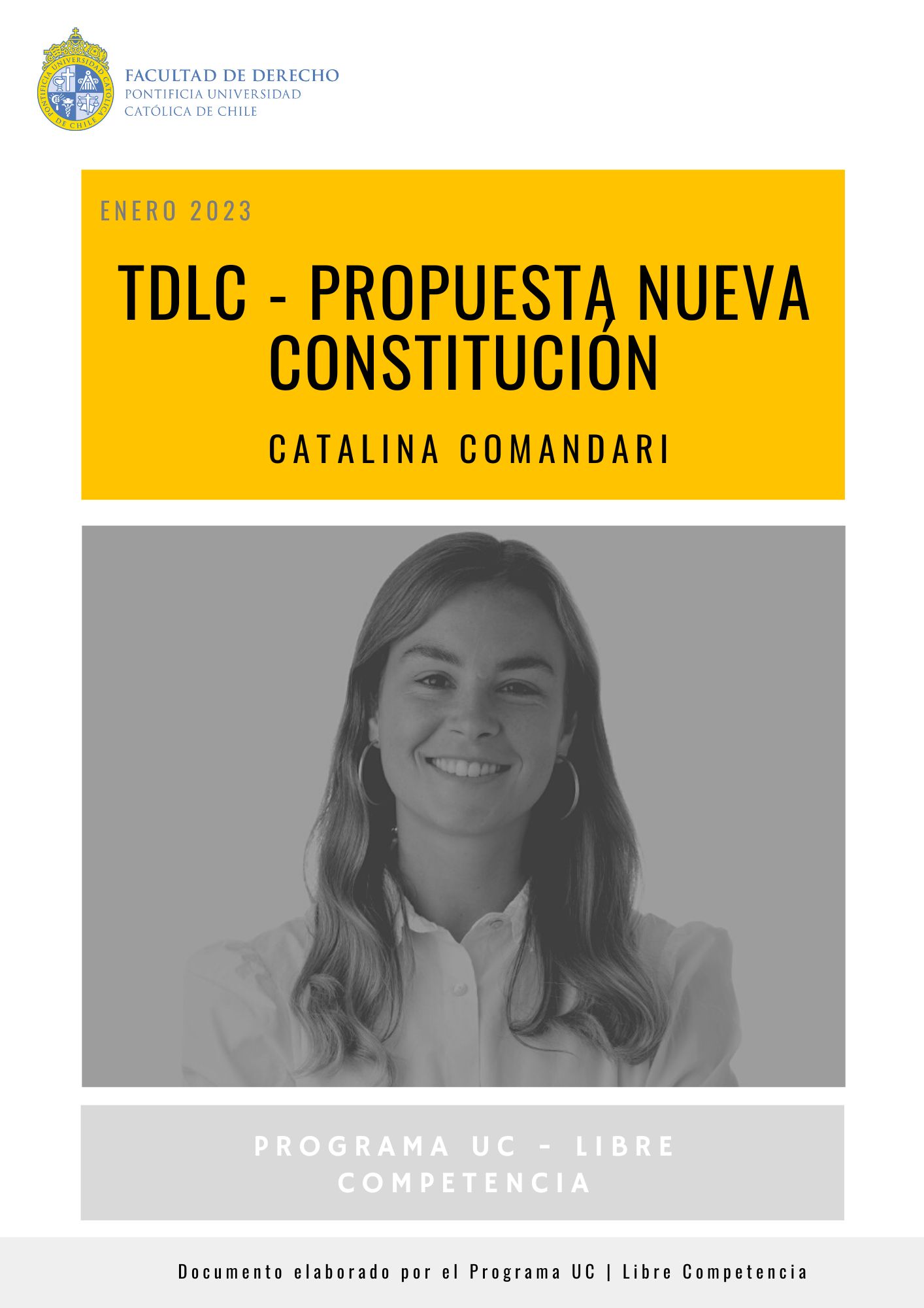 TDLC y Propuesta Nueva Constitución